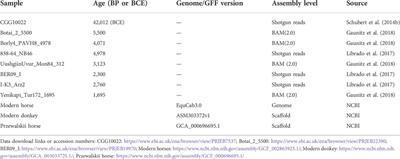 Analysis of ancient and modern horse genomes reveals the critical impact of lncRNA-mediated epigenetic regulation on horse domestication